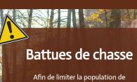 Battues de chasse