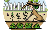 Concours du plus beau potager